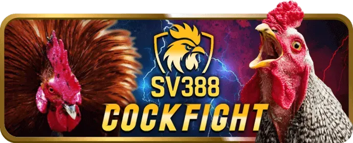 Thưởng nạp tiền không giới hạn cho thành viên VIP bj66 win