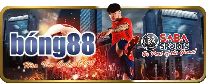 Tham gia các giải đấu và sự kiện độc quyền cho thành viên VIP bj66 win